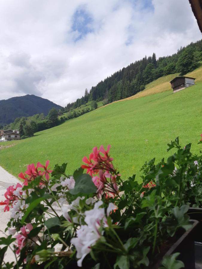 Ferienwohnung Schatzhof Jochberg Esterno foto